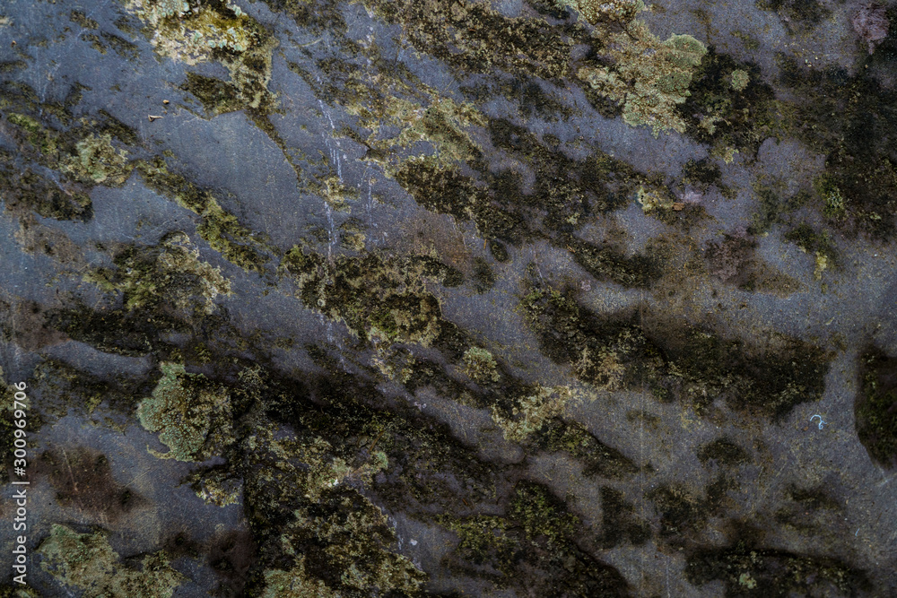 Texture of wet stone covered with moss. Background image of macro photography texture stone