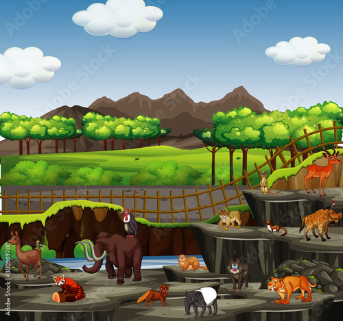 Scene with many animals at the zoo