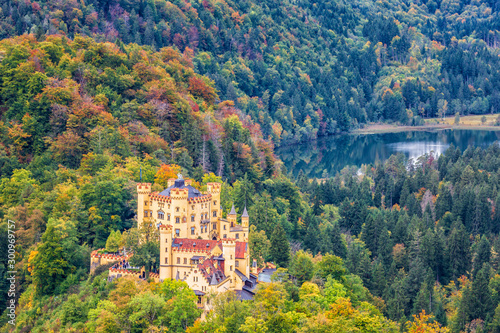 Hohenschwangau Castle surrounded by autumn forest.