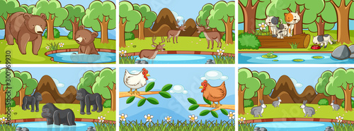 Background scenes of animals in the wild