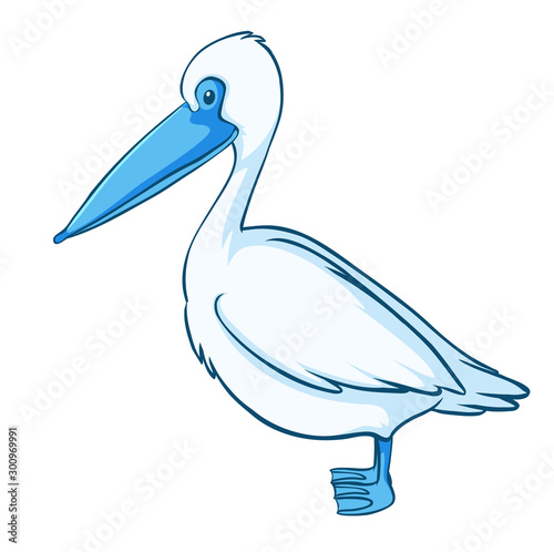Blue pelican on white background