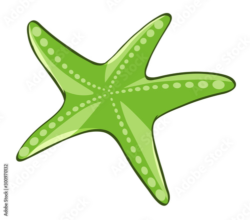 Green starfish on white background