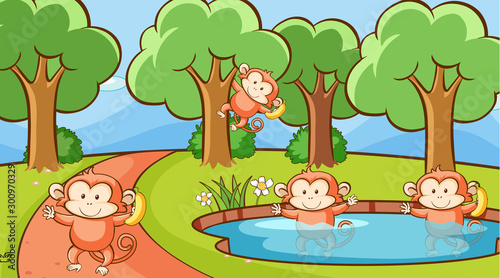 Scene with monkeys in the forest