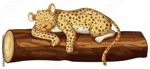 Cheetah sleeping on log