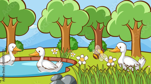 Scene with ducks in the park