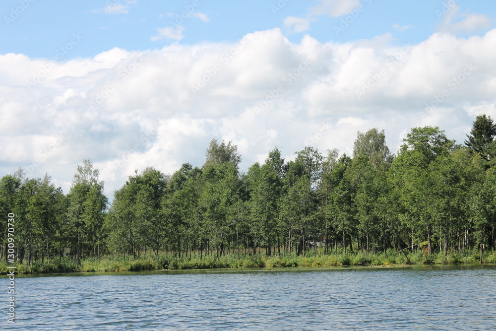 lake in forest