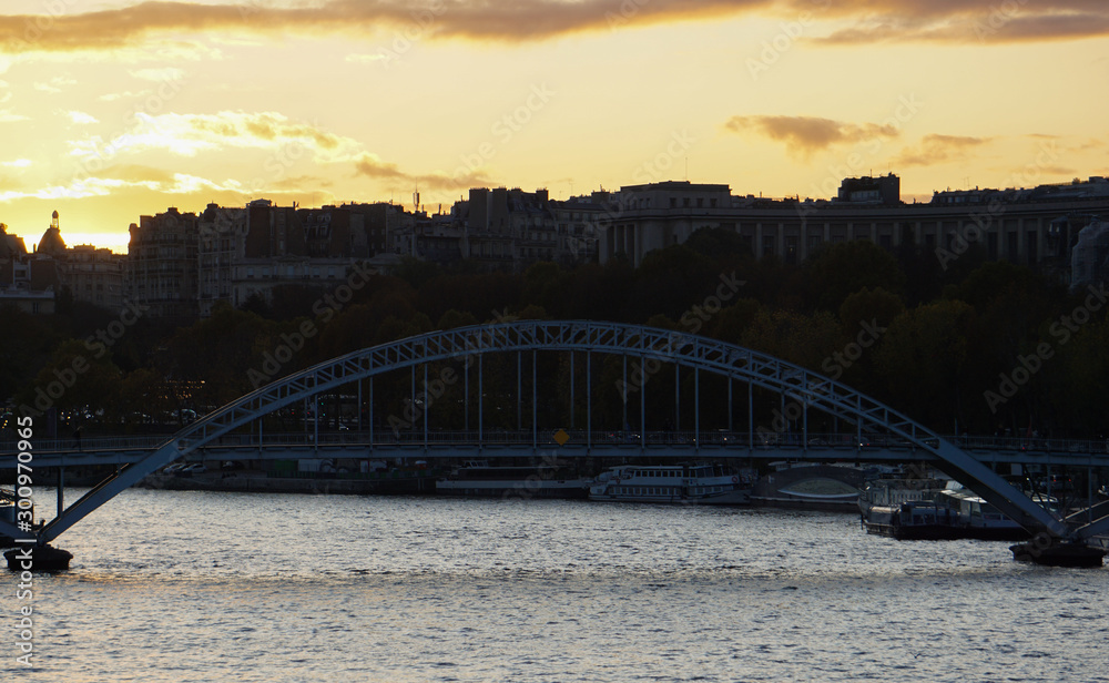 Obraz premium Passerelle Debily Paris