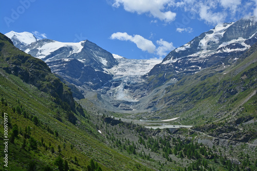 Bishorn and Turtmann Glacier