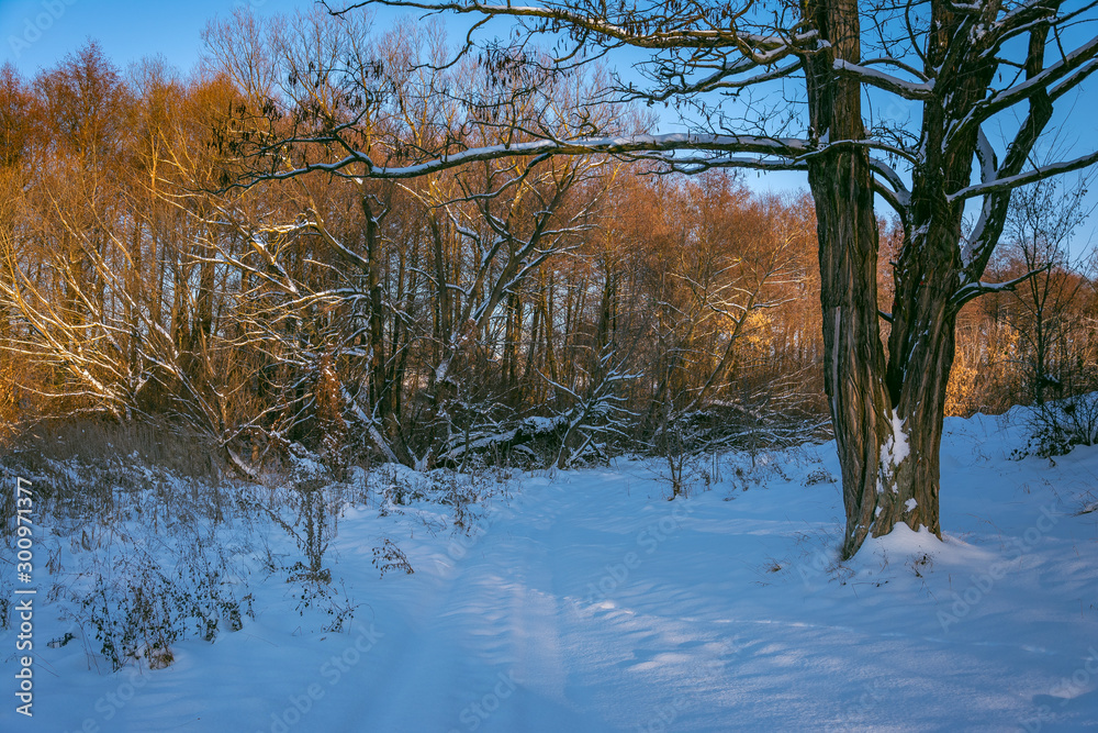 Winter landscape and nature Winter landscape and nature