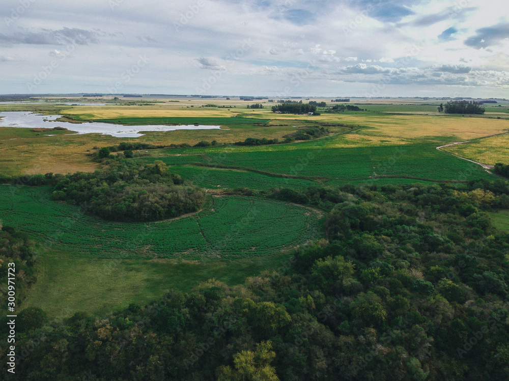 panorama of river in summer