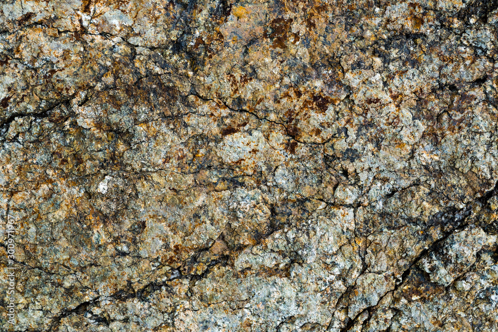 The texture of the stone overgrown with moss. Background image of a boulder The texture of the stone overgrown with moss. Background image of a boulder