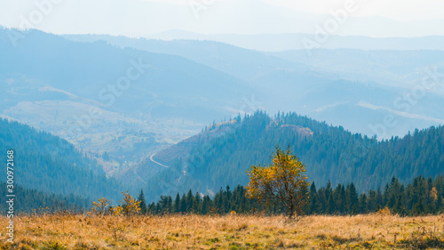 Attractive morning moment in alpine highlands, countryside. Carpathian mountains, Ukraine, Europe. Image of splendid scenery, nature wallpapers. Discover the beauty of earth.