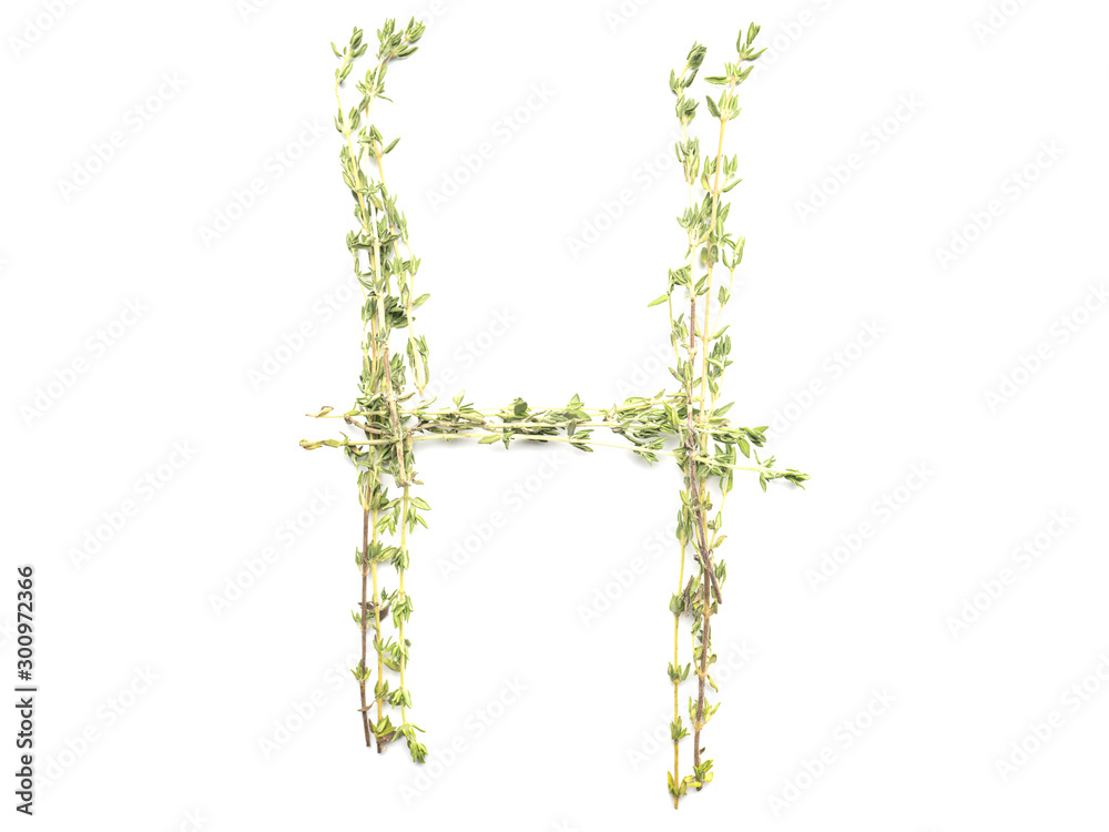 Obraz premium Isolated object: spelled with sprigs of rosemary letter of the English alphabet