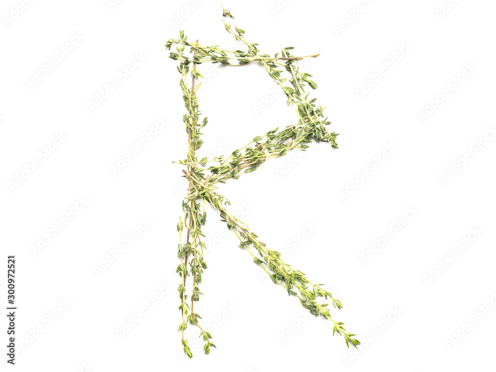 Obraz premium Isolated object: spelled with sprigs of rosemary letter of the English alphabet