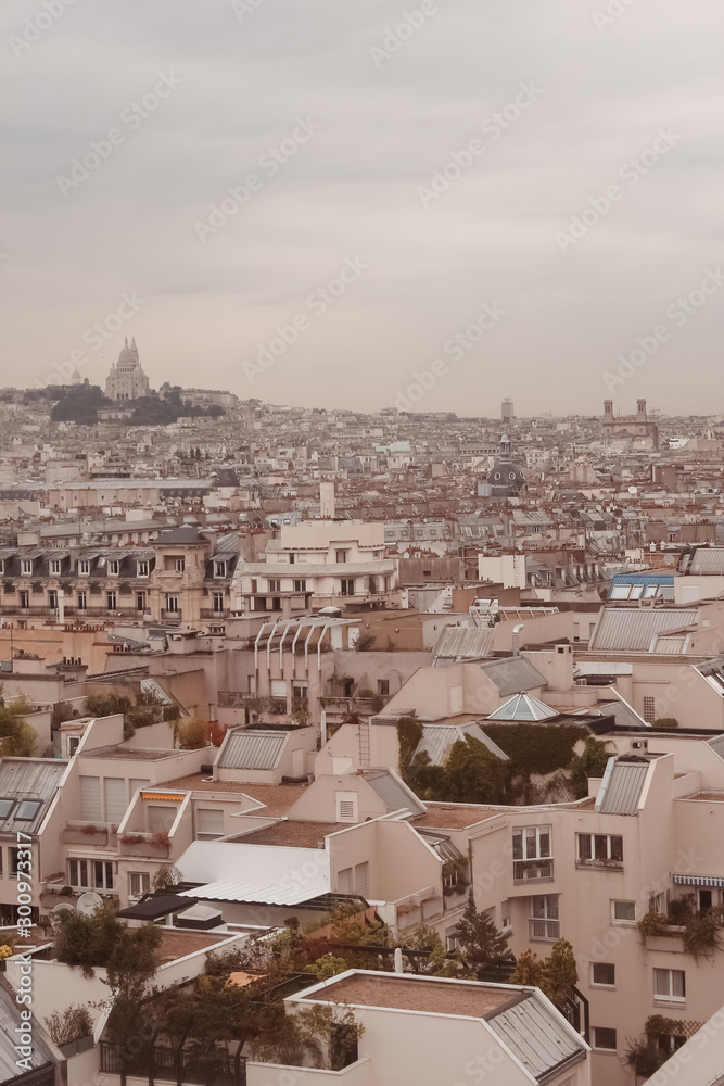 Fototapeta premium Paris. View of the city roofs.