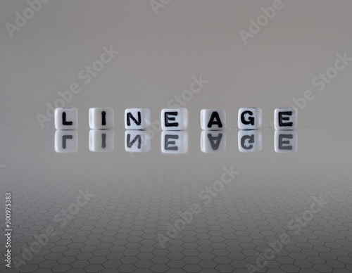 Photo The concept of lineage represented by wooden letter tiles