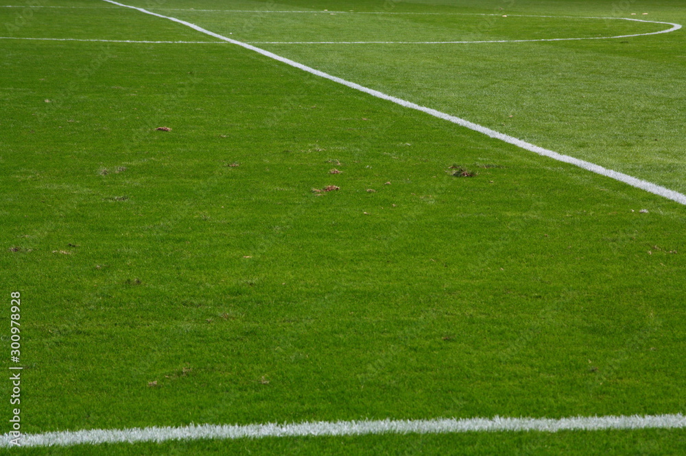 Natural football pitch, central line