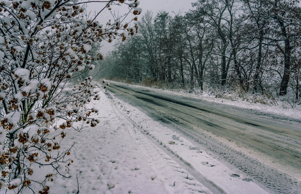 Winter landscape and nature Winter landscape and nature