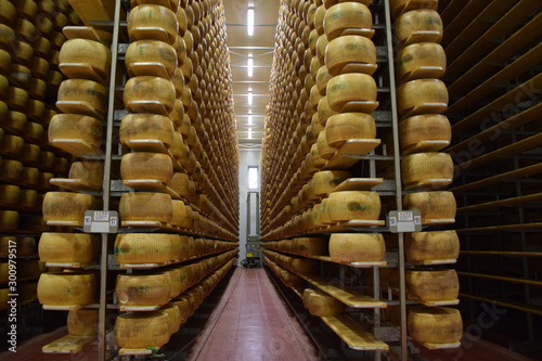 Obraz na plátne Parmigiano