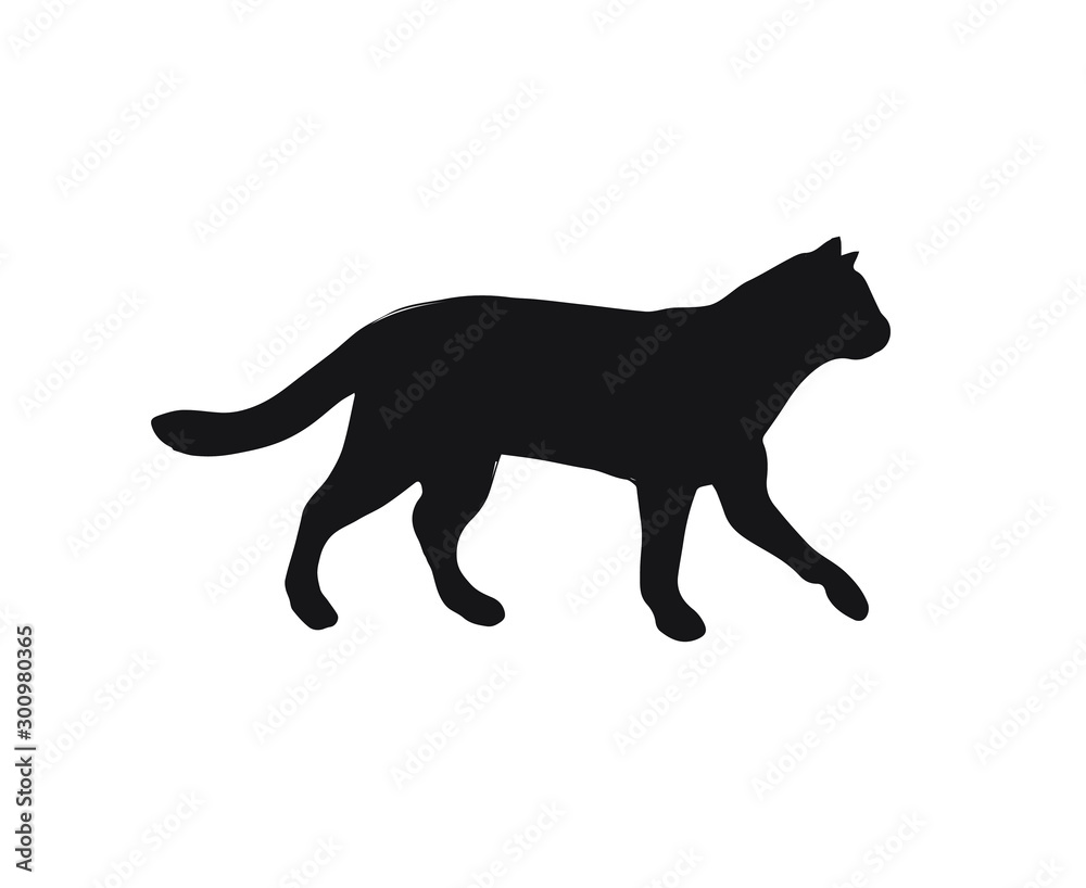 Vector black cat silhouette isolated on white background