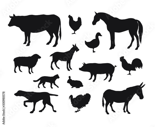 Vector set bundle of black domestic animals silhouette isolated on white background