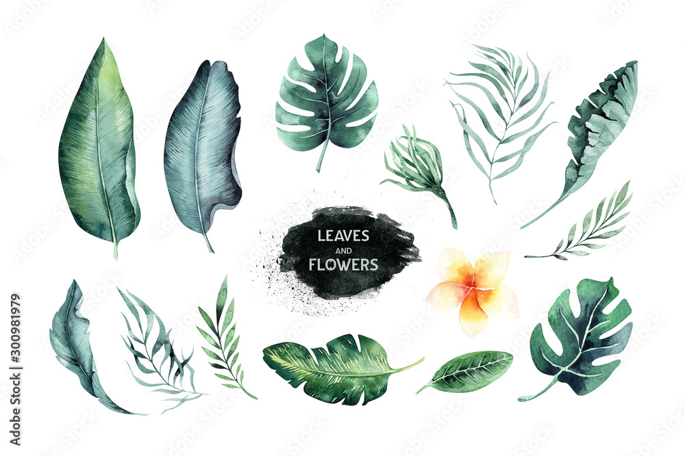 Set of bright watercolor tropical monstera leaves. bouquet tropic palm leaf, flower and branches from the jungle. Exotic background botanical design hawaii - obrazy, fototapety, plakaty 