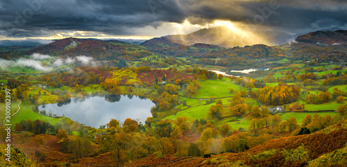 The golden colours of autumn near Ambleside  in the English Lake District photo