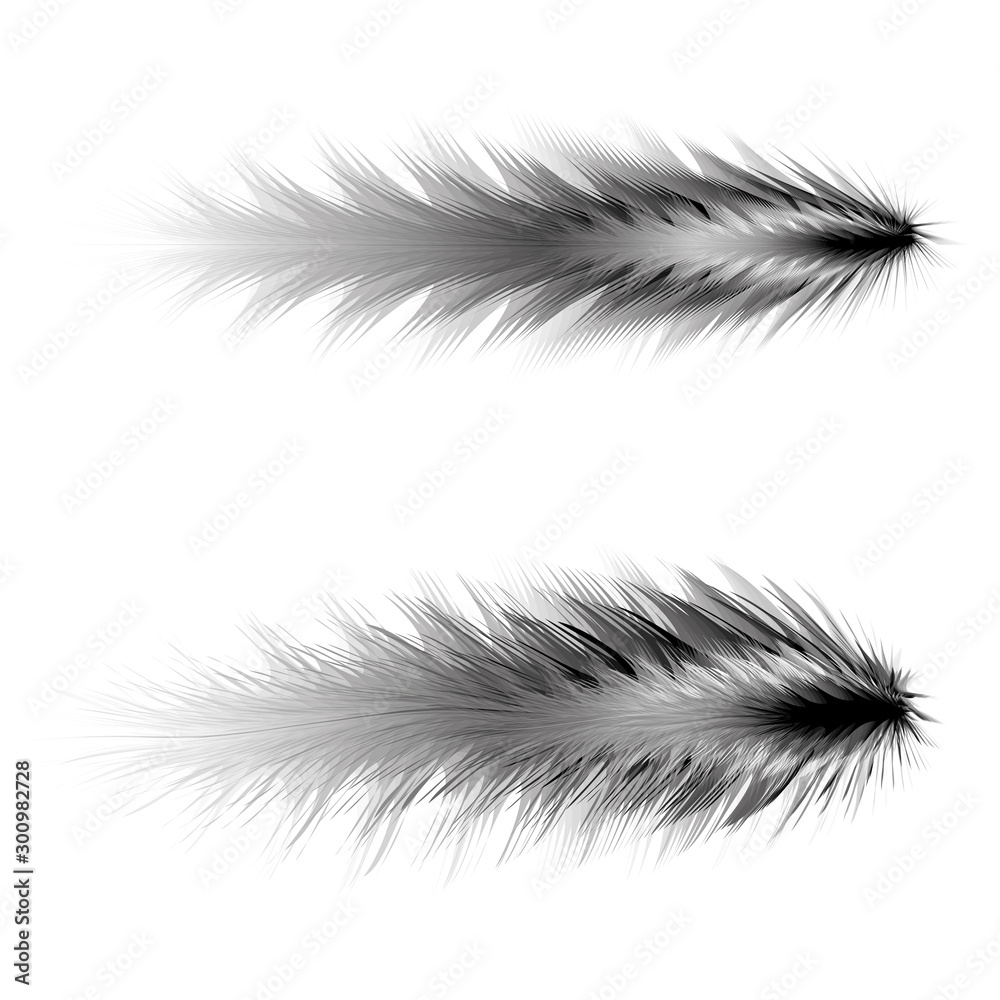 realistic slim feather art brush elements realistic slim feather art brush elements
