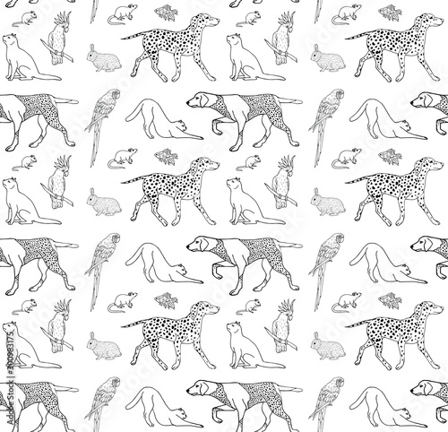 Wallpaper Mural Vector seamless pattern of hand drawn outline sketch different pets isolated on white background Torontodigital.ca