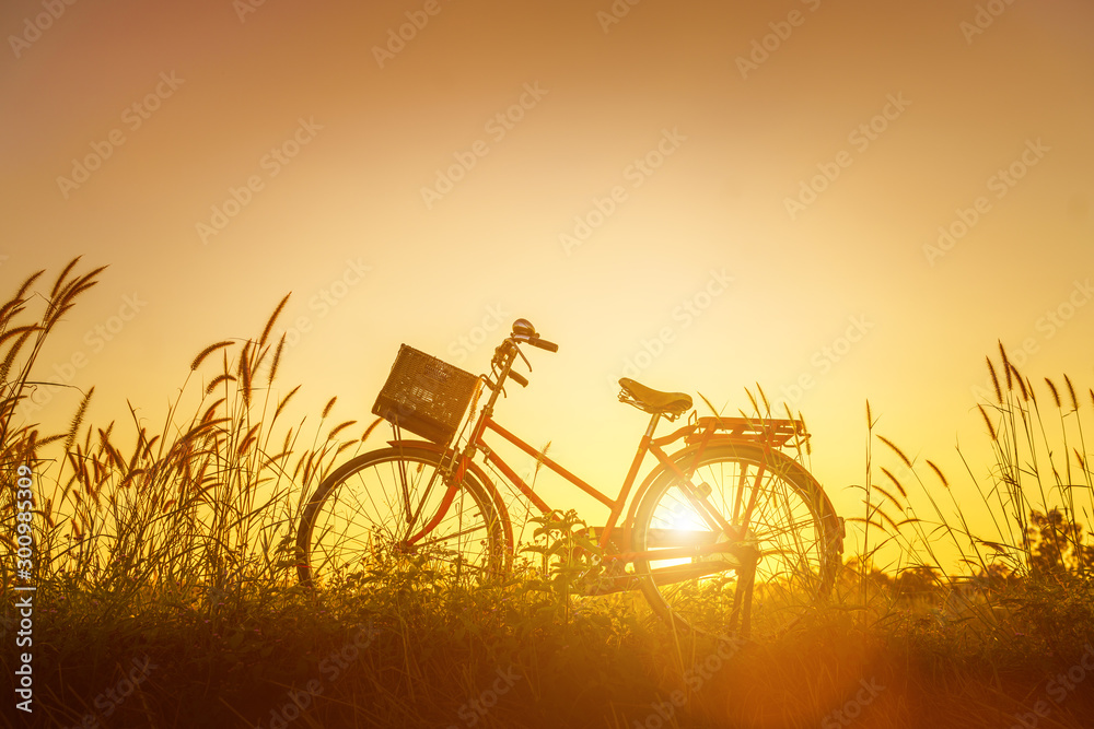 Vintage bicycle parked in landscape autumn field