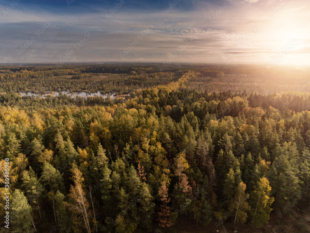 Sunrise over autumn forest, Green and yellow trees, Sun flare, blue cloudy sky.