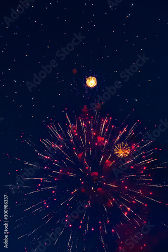 fireworks in the night sky