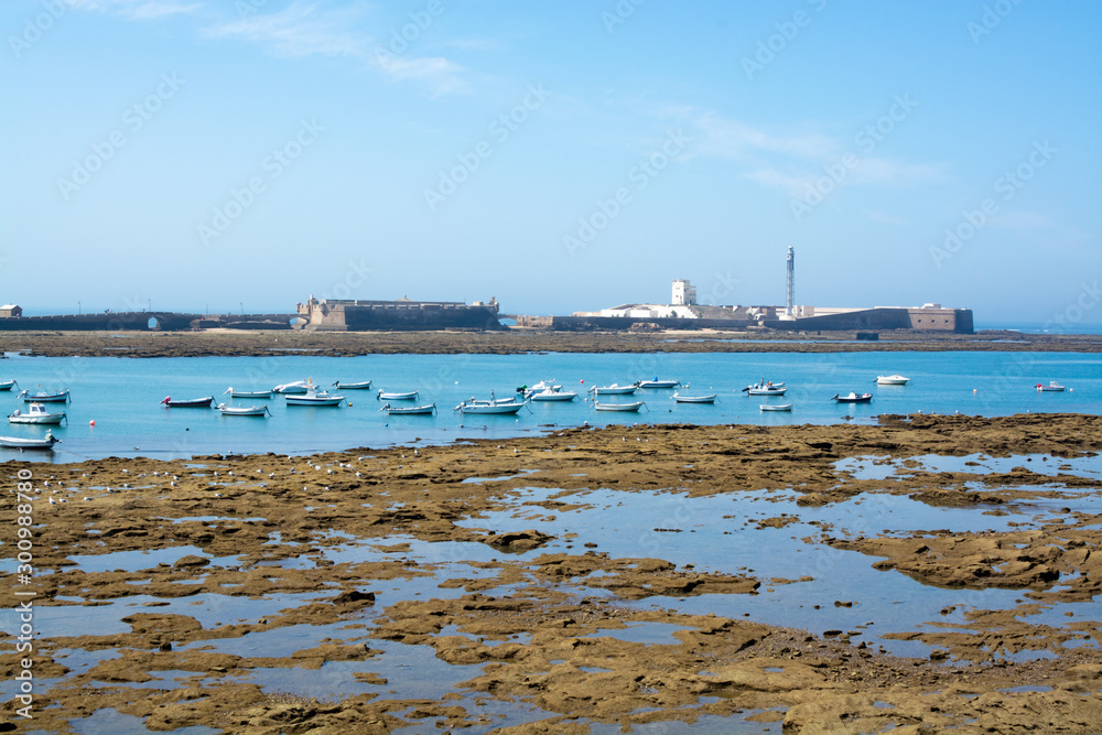 Low tide time on ocean coast of Cadiz, shallow water with fishing boats and seagulls, Andalusia, Spain