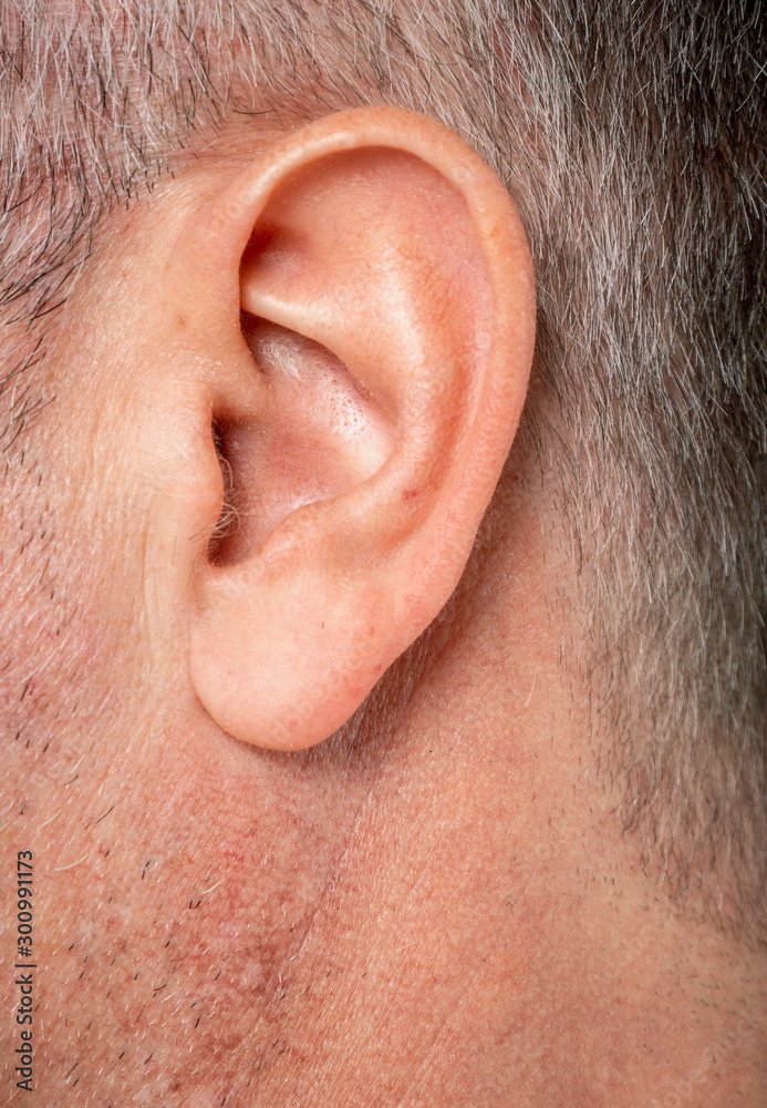 ear macro close-up shot hearing concept ear macro close-up shot hearing concept