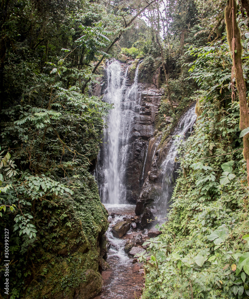 cascada cascada