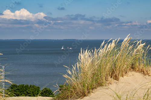 Fotografi Sand dune in Nida. The Curonian Spit. Baltic Sea.