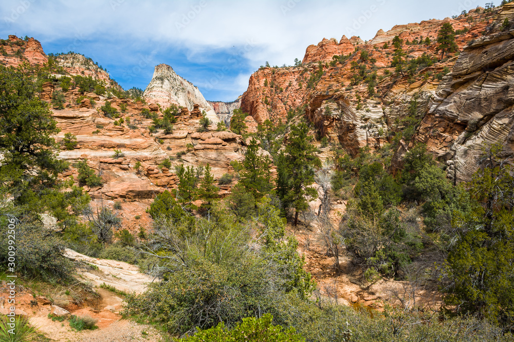 Fototapeta premium The Zion National Park. Landscape of rock hills and trees. Utah, USA