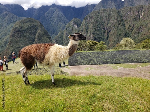 MACHU PICCHU AND MOUNTAINS IN PERU