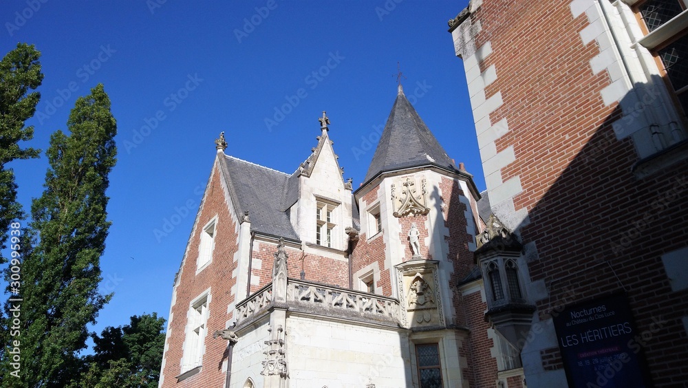 Château et parc du Clos-Lucé