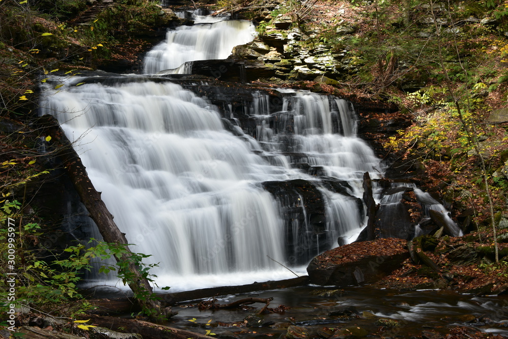 Obraz premium Conestoga Falls