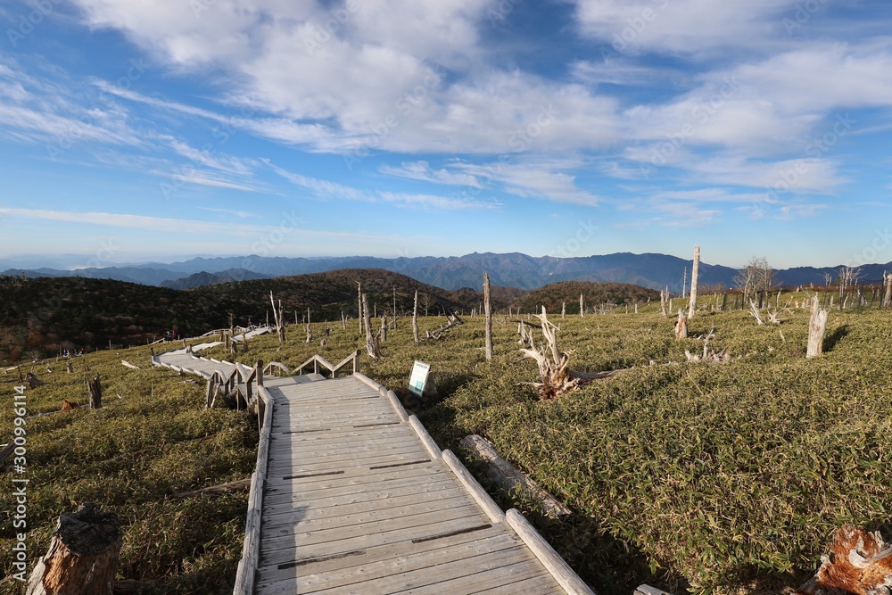 大台ケ原　登山コース