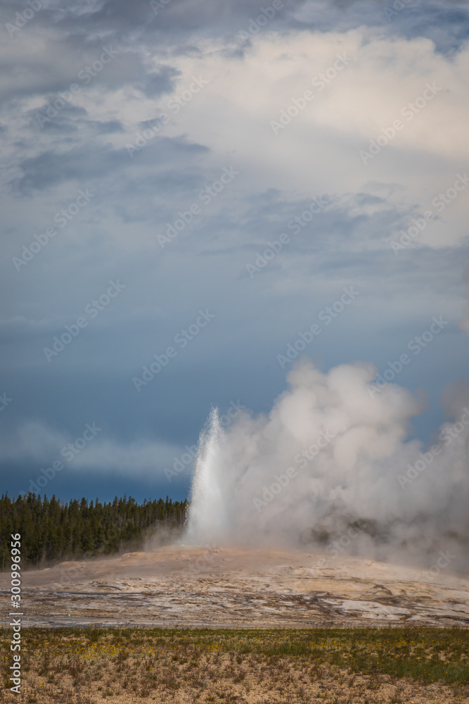 Old Faithful Eruption at Yellowstone National Park