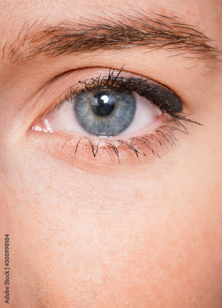 human eye detail macro close-up shot human eye detail macro close-up shot