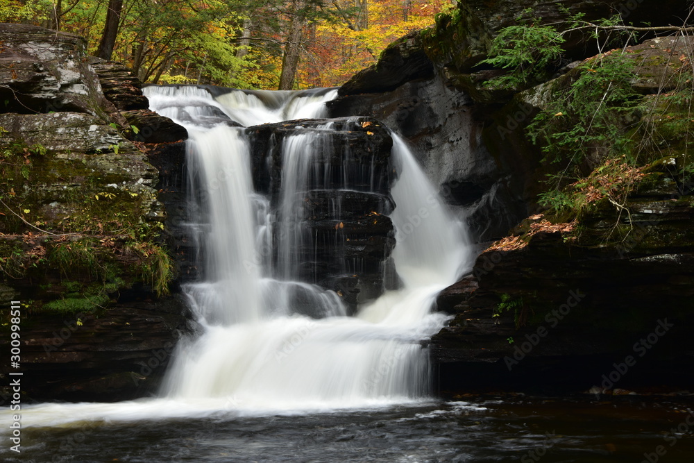 Obraz premium Murray Reynonds Falls