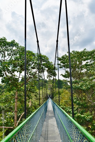 Adventurous treetop walk over suspension bridge in Central Catchment Nature Reserve, Singapore