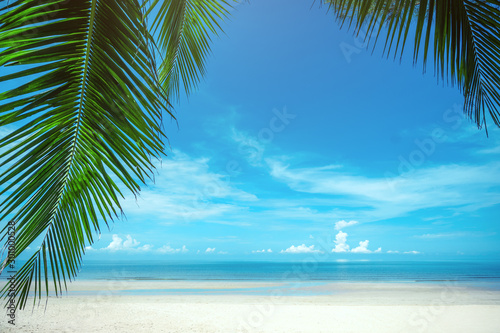 Fototapeta Naklejka Na Ścianę i Meble -  Palm trees against blue sky at tropical coast, coconut tree,summer tree