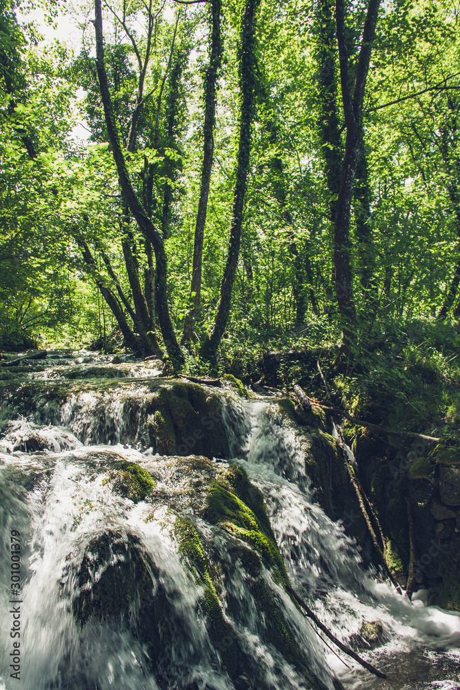 Beautiful lake and view in Plitvice National Park. Croatia. Summer (June).