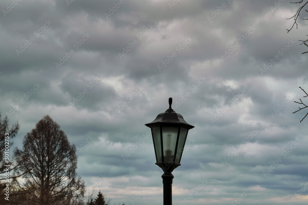 Vintage street lamp on the background of bare tree branches and cloudy autumn sky.