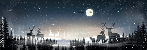 Landscapes winter wonderland of dark night with reindeers family looking at Santa sleigh and reindeers flying over full moon,misty covered wavy mountains,foggy valleys. Misty landscape with fir forest