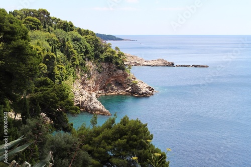 Dubrovnik landscape, Croatian nature. Green rocks and blue sea. Stones at the bottom of the sea. Sunny day. Rocky coast, plants and flowers.